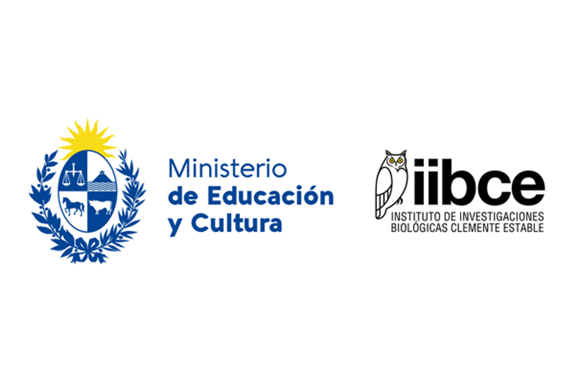 Logo IIBCE