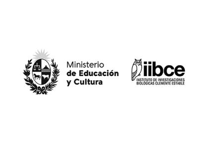 Iibce